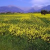 2007.04.01. - Samothraki
